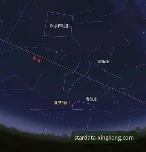 星空体育数据来源使用技巧完整指南：从新手到高手的实战手册